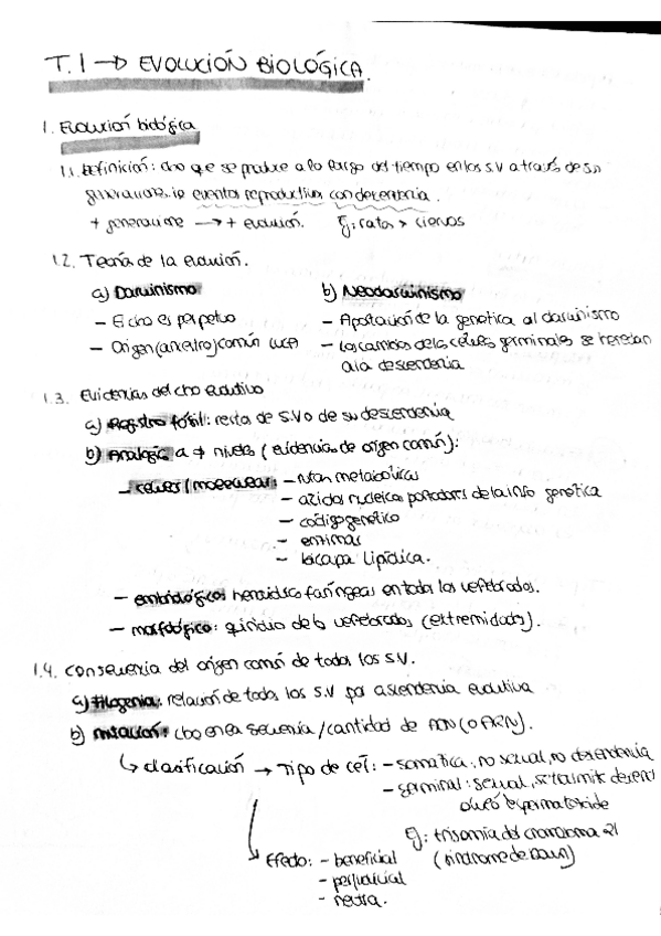 Miniatura del documento zoo1.pdf
