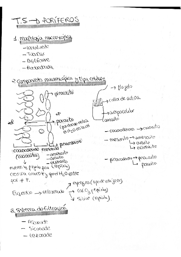 Miniatura del documento zoo5.pdf