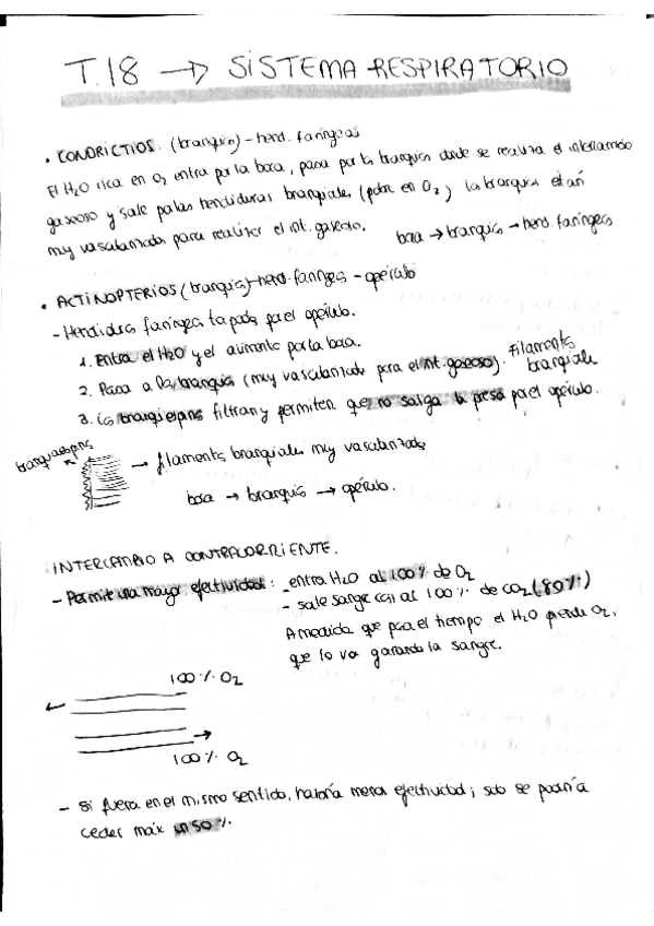 Miniatura del documento zoo18.pdf