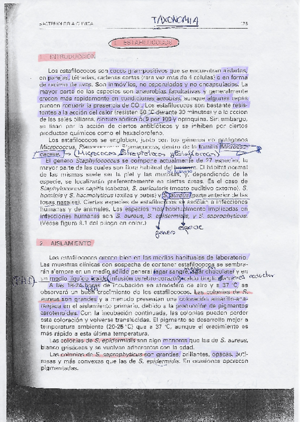 Miniatura del documento Taxonomia-1.pdf