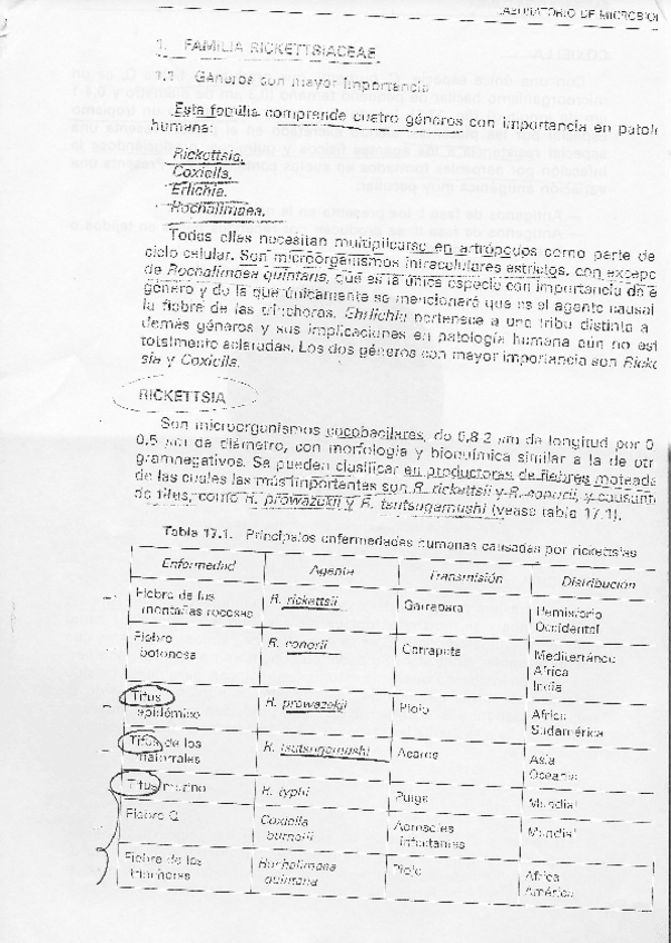 Miniatura del documento Taxonomia-10.pdf