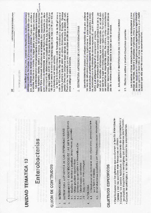 Miniatura del documento Taxonomia-6-Enterobacterias.pdf