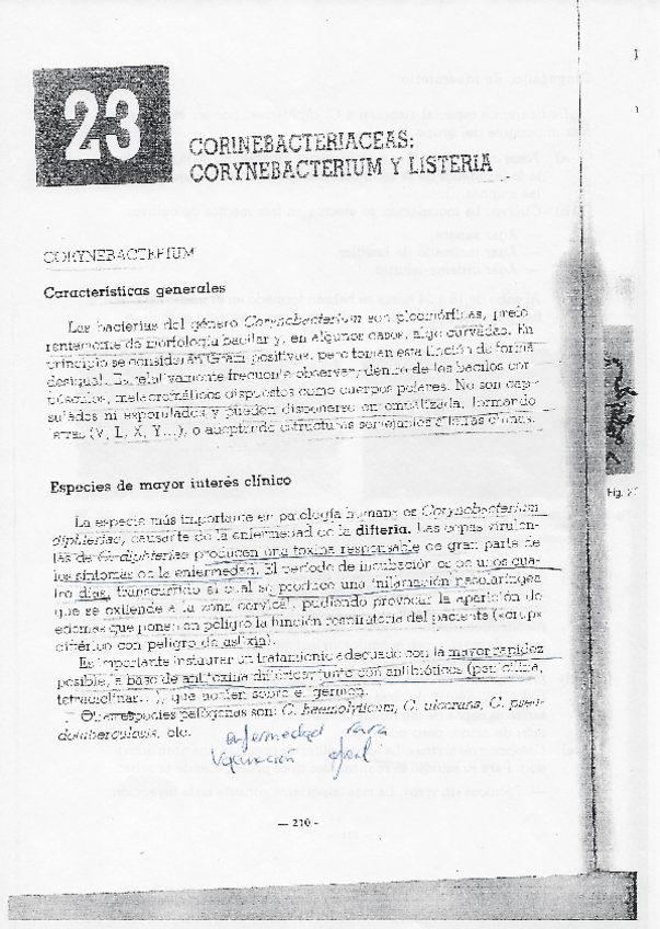 Miniatura del documento Taxonomia-8.pdf