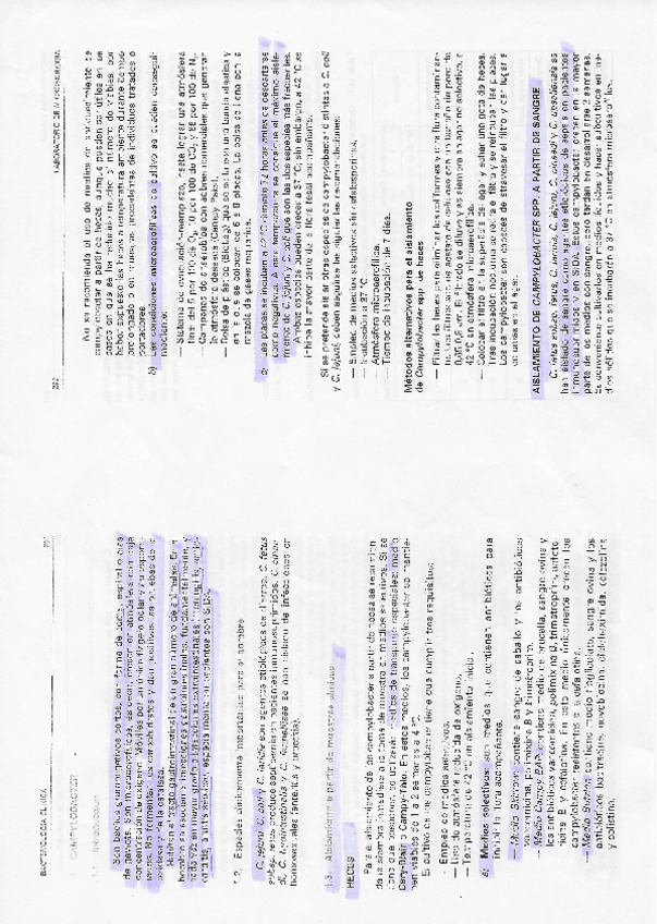 Miniatura del documento Taxonomia-7-Campylobacter.pdf