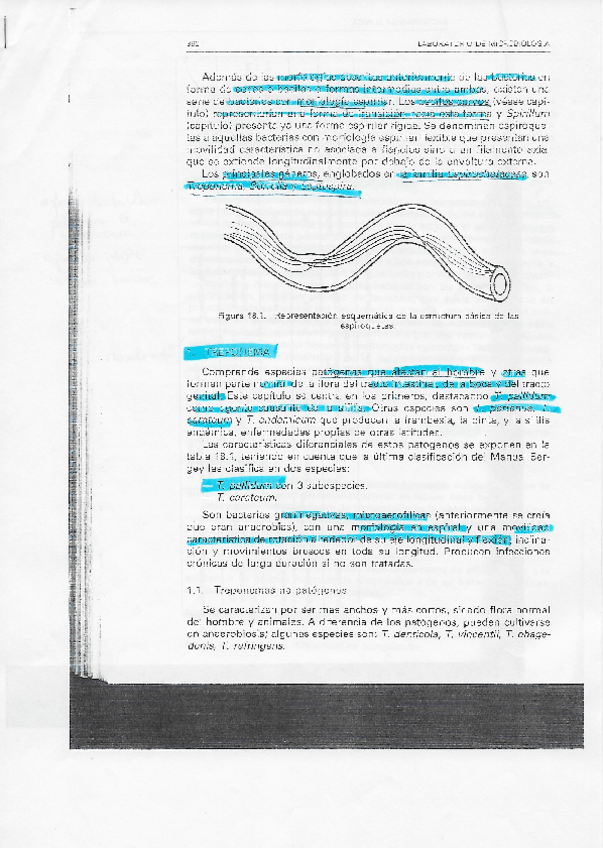 Miniatura del documento Taxonomia-11.pdf