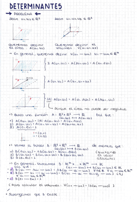 Miniatura del documento Determinantes.pdf