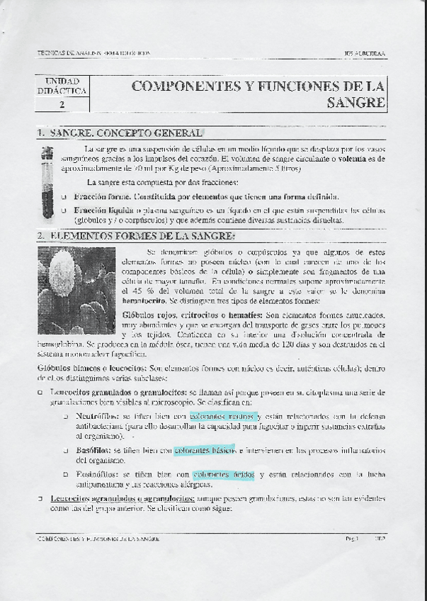 Miniatura del documento T2.pdf