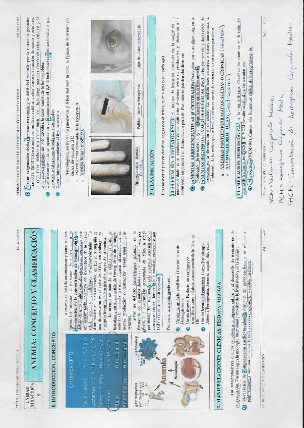 Miniatura del documento T5.pdf