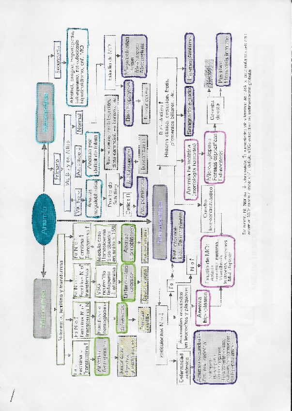 Miniatura del documento ESQUEMA-ANEMIAS.pdf