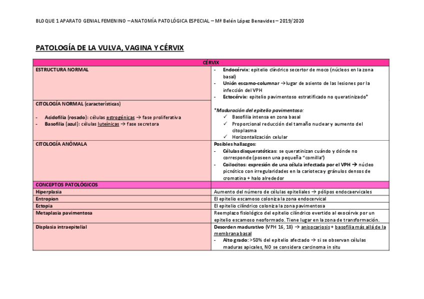 Miniatura del documento BLOQUE-1-APARATO-GENITAL-FEMENINO.pdf