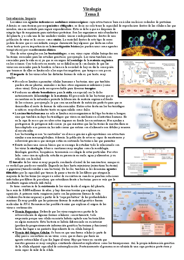 Miniatura del documento Tema-1.pdf