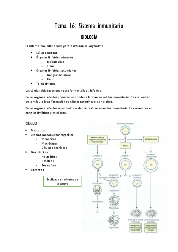 Miniatura del documento tema 16 Sistema inmunitario PDF.pdf