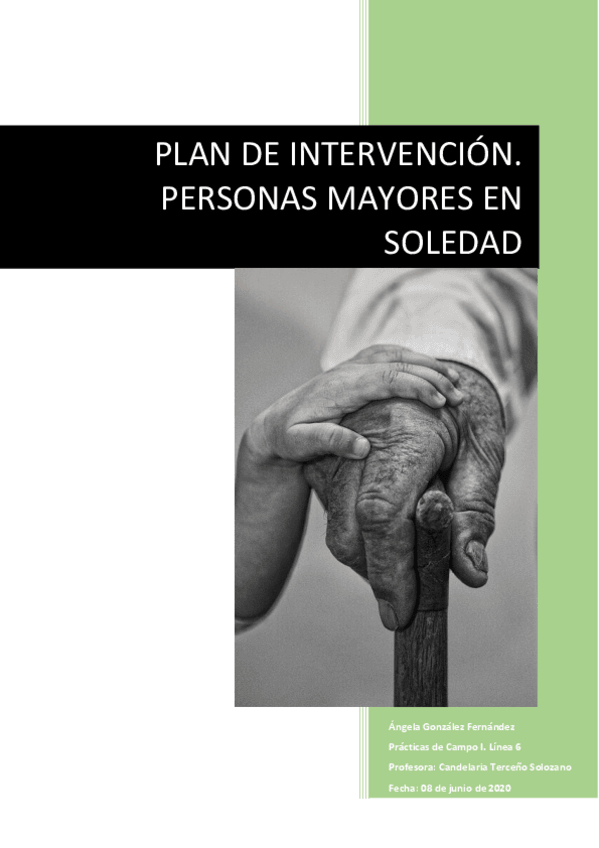 Miniatura del documento Plan-de-intervencion.pdf
