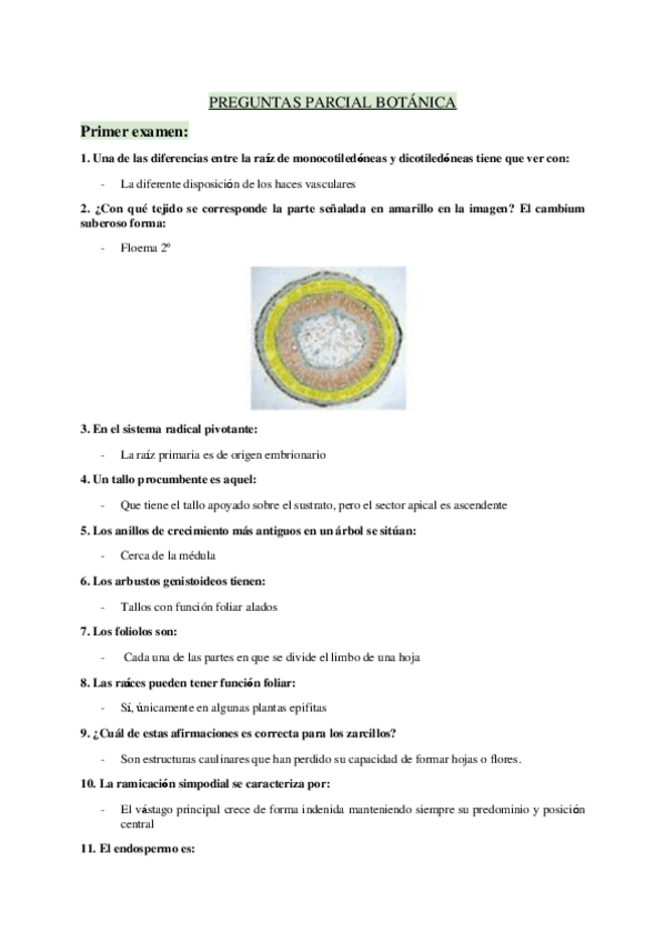 Miniatura del documento 1-examen.pdf