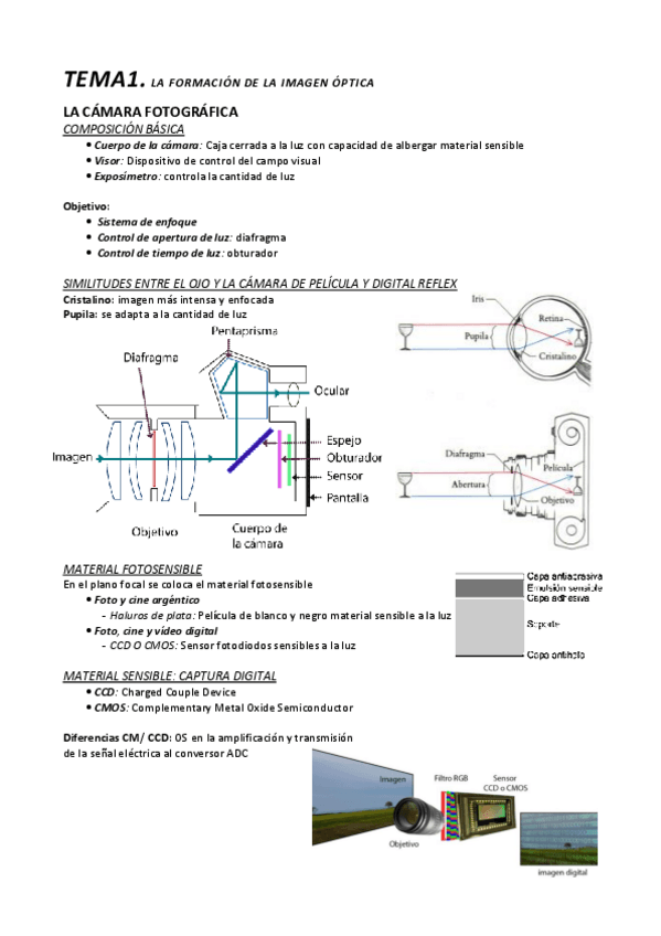 Miniatura del documento TEMA-1-CAMARA-Y-SONIDO.pdf