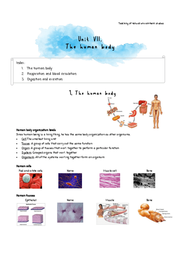 Miniatura del documento Unit-7.pdf