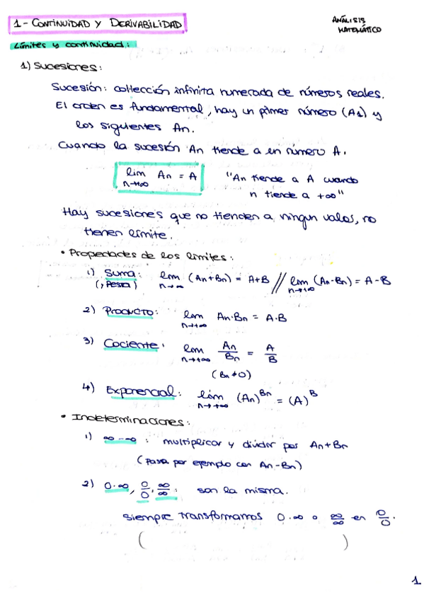Miniatura del documento AM-1.pdf