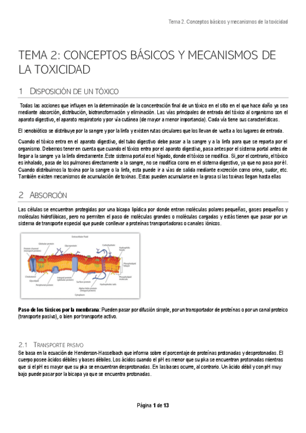 Miniatura del documento TEMA-2.pdf