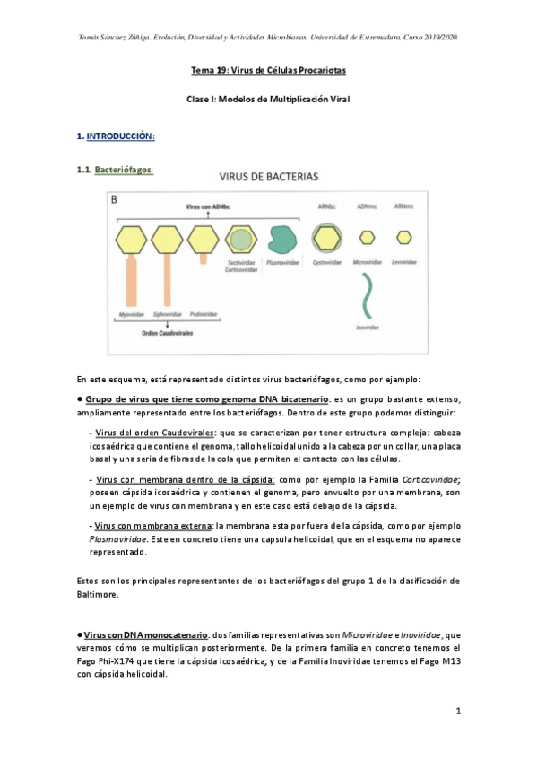 Miniatura del documento TEMA-19-MICRO-II.pdf