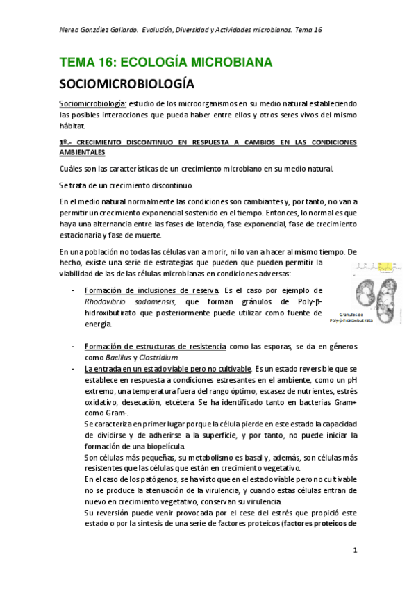 Miniatura del documento TEMA-16-MICRO-II.pdf