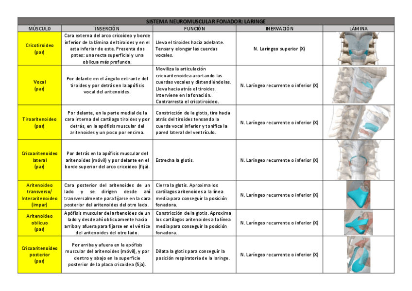 Miniatura del documento SNM-FONADOR.pdf