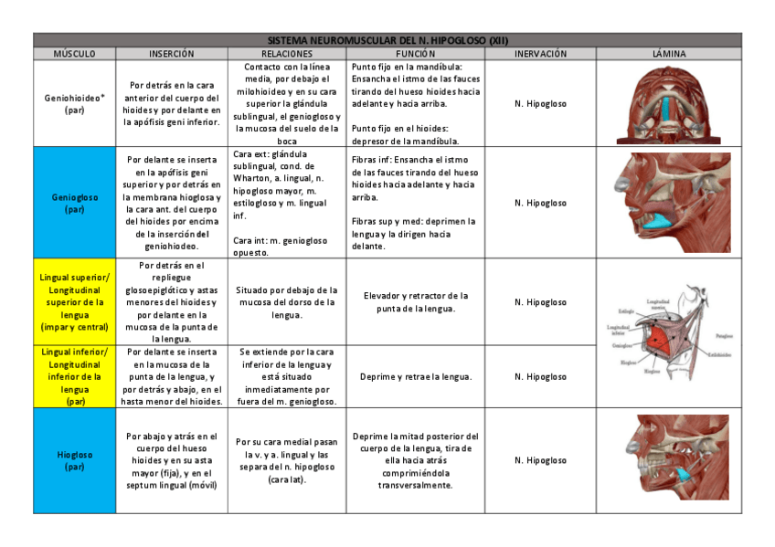 Miniatura del documento SNM-HIPOGLOSO.pdf