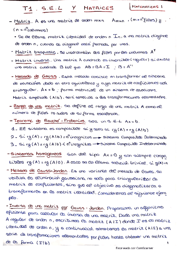 Miniatura del documento TEMA-1.pdf