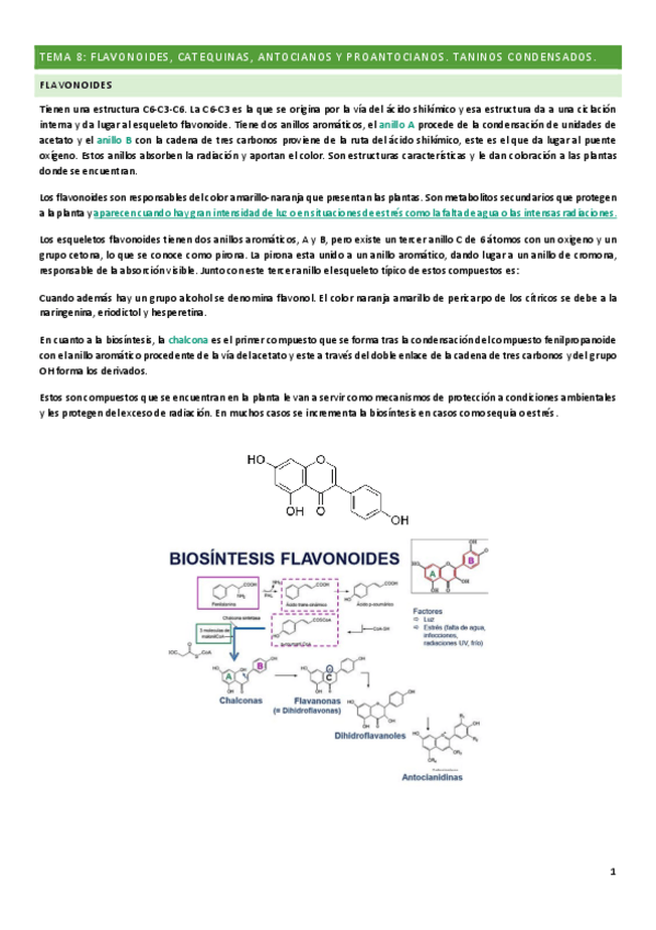 Miniatura del documento tema-8.pdf
