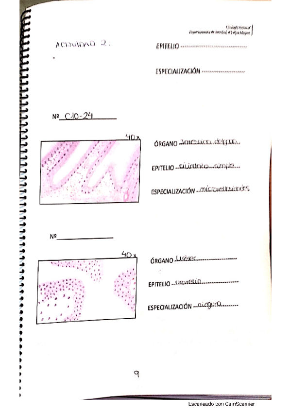 Miniatura del documento generalidades-apyc.pdf