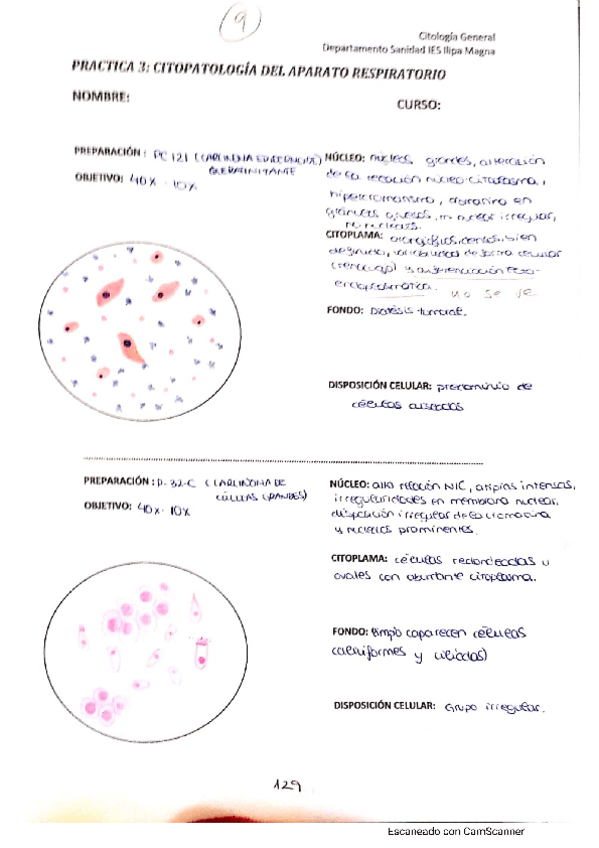 Miniatura del documento citologia-respirstorio.pdf