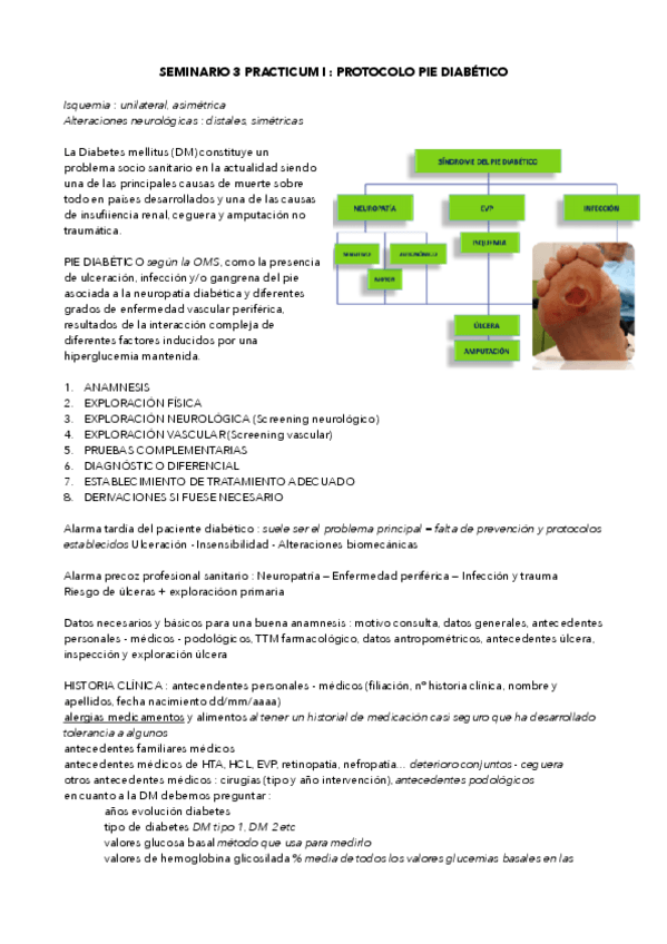 Miniatura del documento Seminario-3.pdf