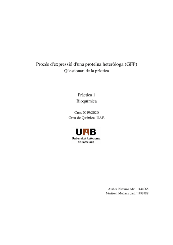 Miniatura del documento Questionari-1.docx