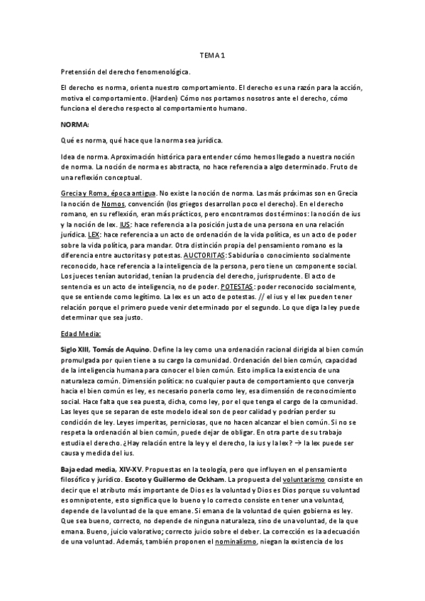 Miniatura del documento Teoria-del-derecho.pdf