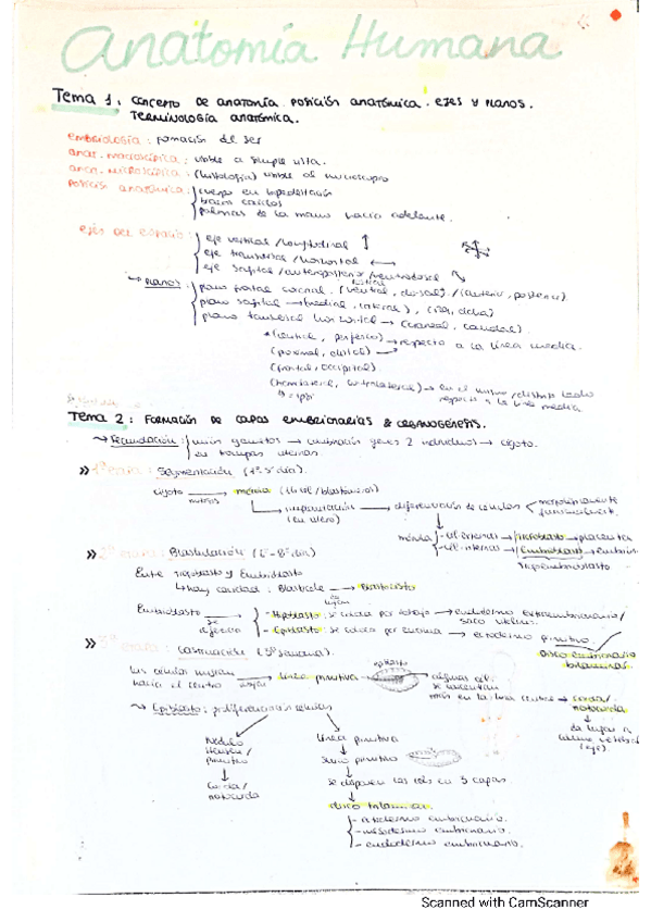 Miniatura del documento Resumenes-de-todos-los-temas.pdf