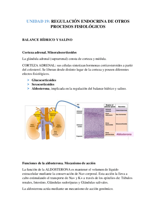 Miniatura del documento Tema-19-F.pdf