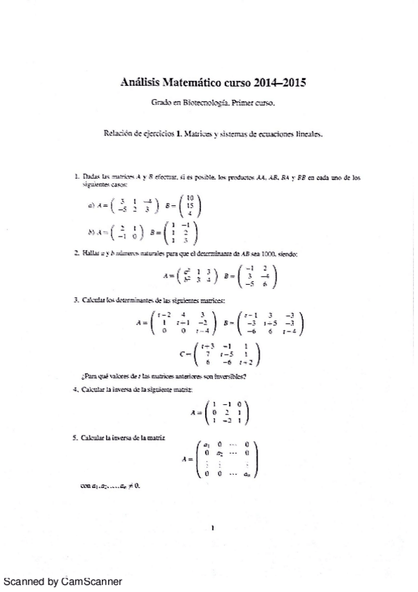 Miniatura del documento Ejercicios Resueltos Matrices.pdf