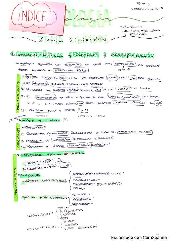 Miniatura del documento Tema-3-Marta-P.pdf