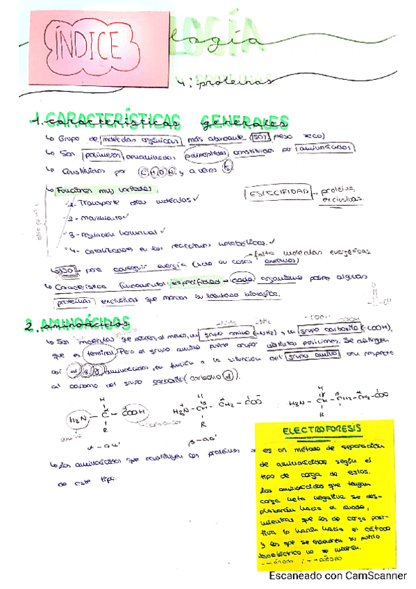 Miniatura del documento Tema-4-Marta-P.pdf