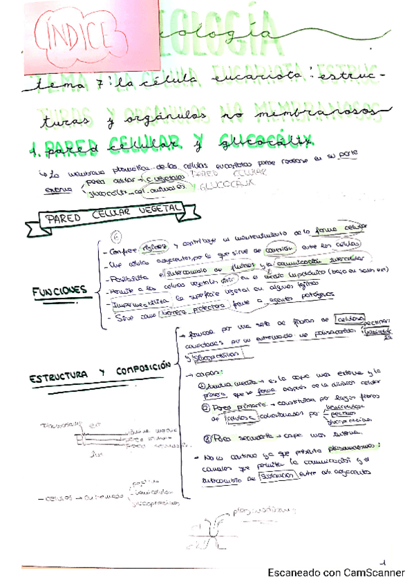 Miniatura del documento Tema-7-Marta-P.pdf
