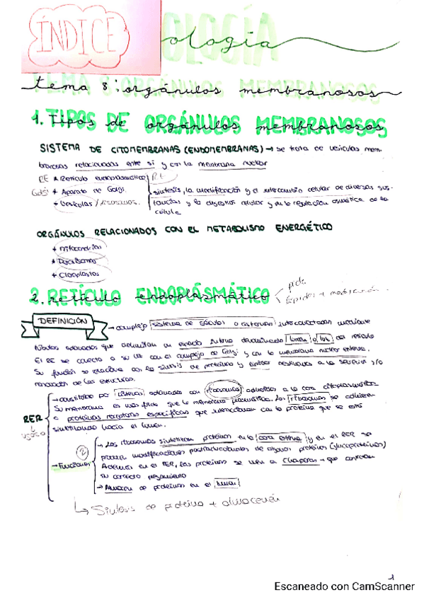 Miniatura del documento Tema-8-Marta-P.pdf