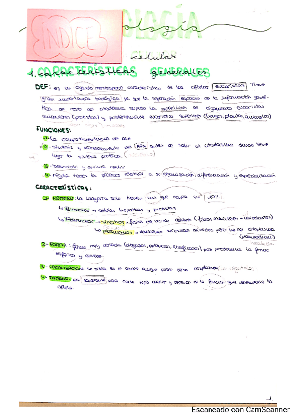 Miniatura del documento Tema-9-Marta-P.pdf