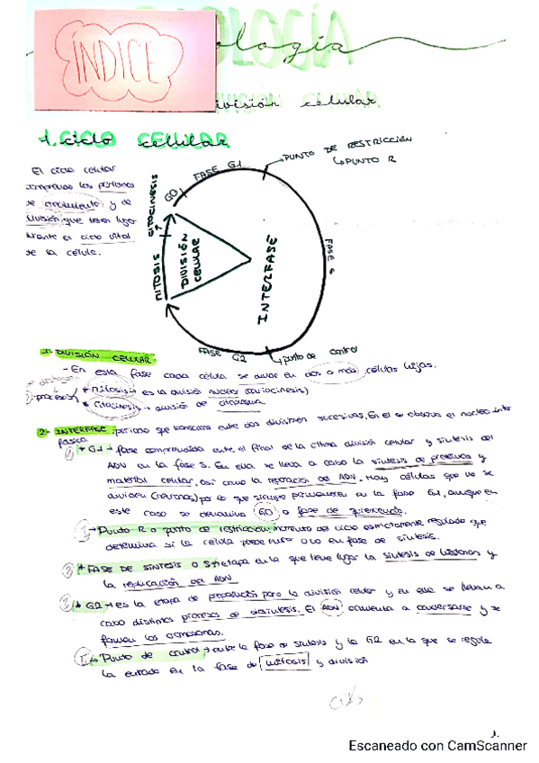 Miniatura del documento Tema-10-Marta-P.pdf