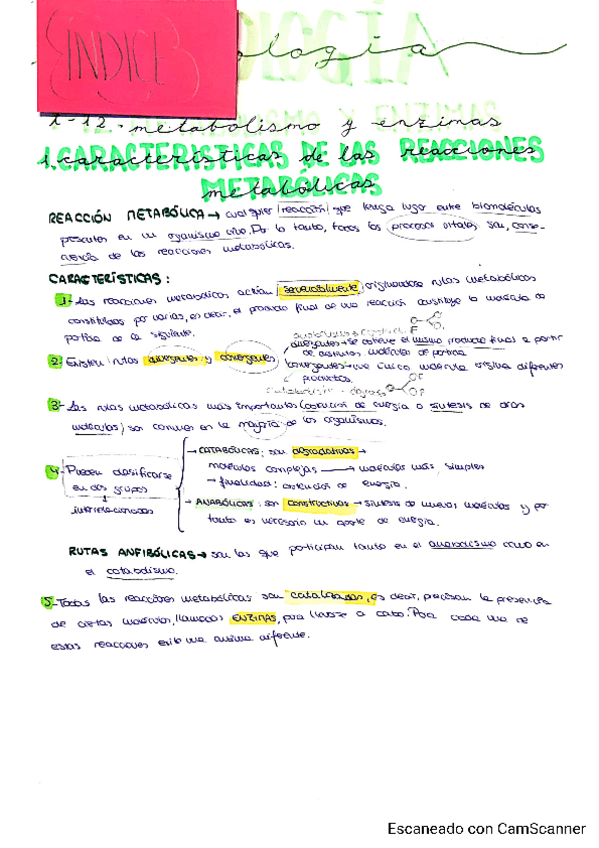 Miniatura del documento Tema-12-Marta-P.pdf