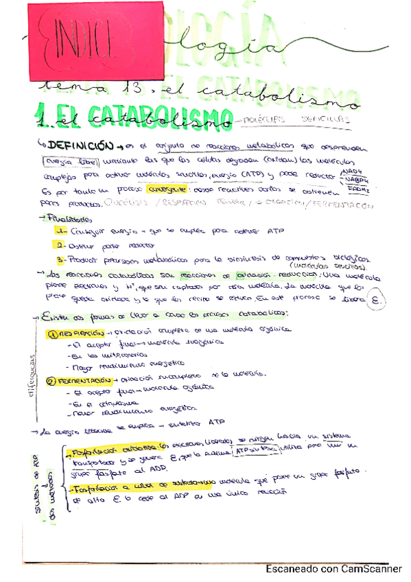 Miniatura del documento Tema-13-Marta-P.pdf