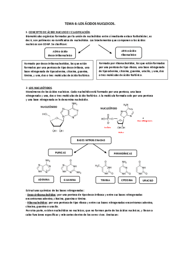 Miniatura del documento TEMA-6.pdf