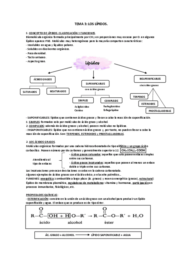 Miniatura del documento TEMA-3.pdf