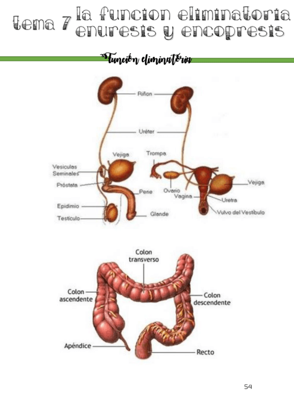 Miniatura del documento t7.pdf