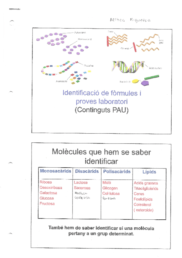 Miniatura del documento PWP-Repas-biomolecules.pdf