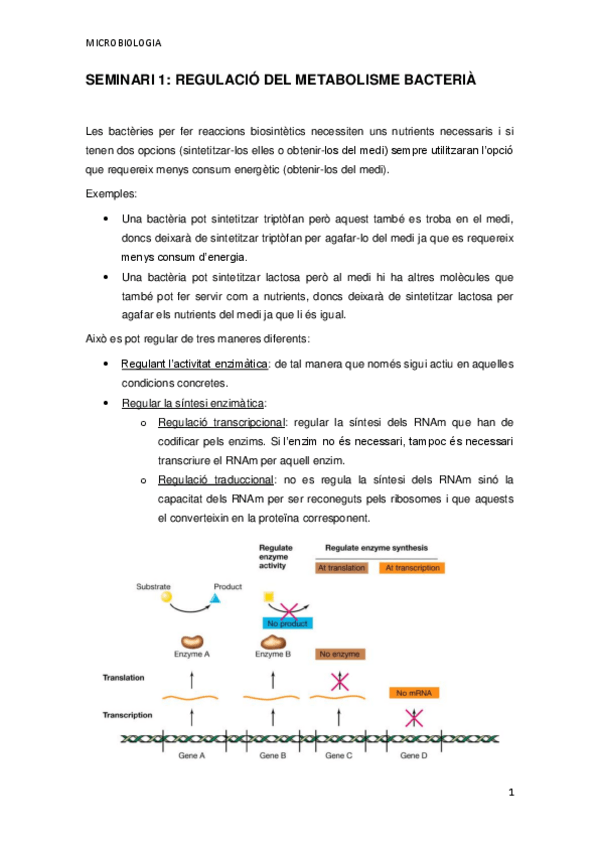 Miniatura del documento SEMINARI-1.pdf