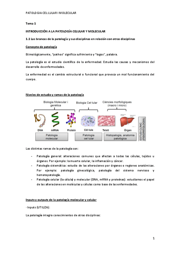 Miniatura del documento Tema-1.pdf